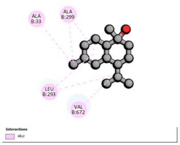 Figure 25