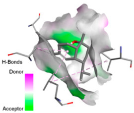 Figure 26