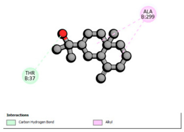Figure 27