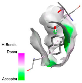 Figure 28
