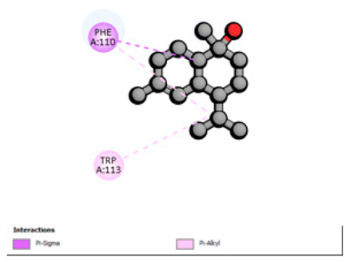 Figure 29