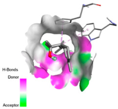 Figure 30