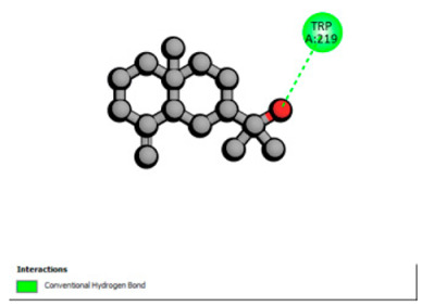 Figure 31