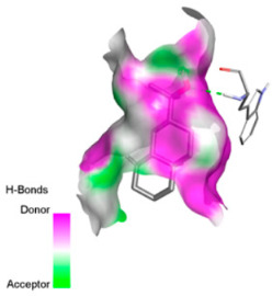 Figure 32