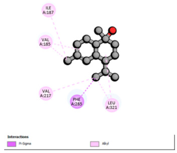 Figure 33