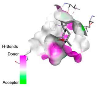 Figure 34