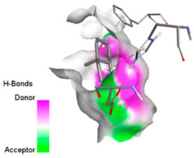 Figure 36