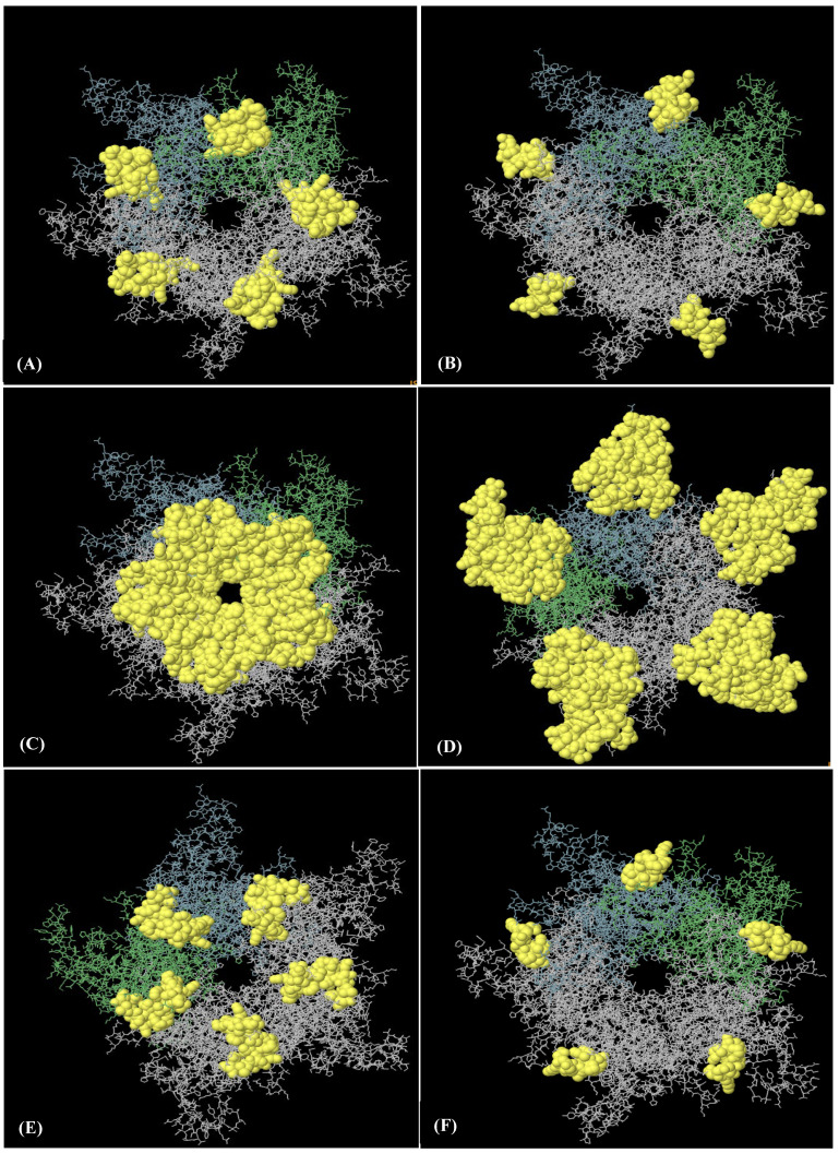 Figure 6