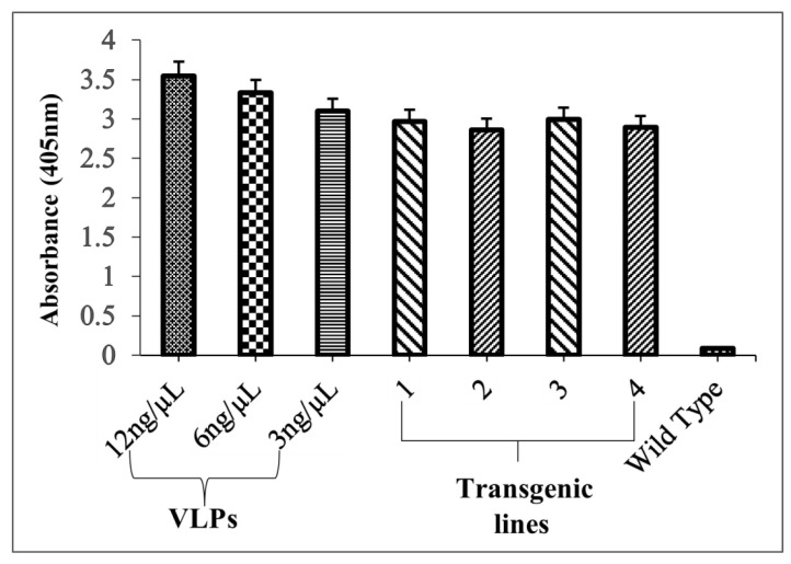 Figure 11