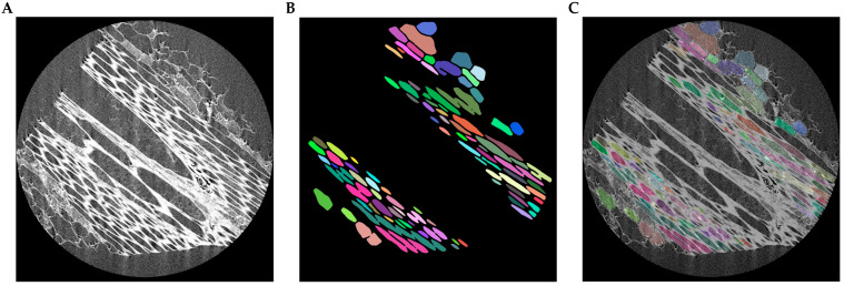 Figure 10