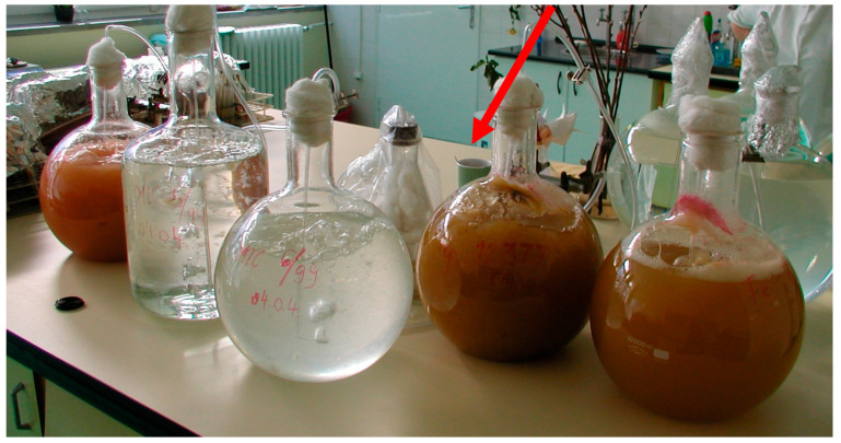 Figure 7