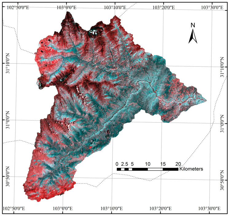 Figure 2