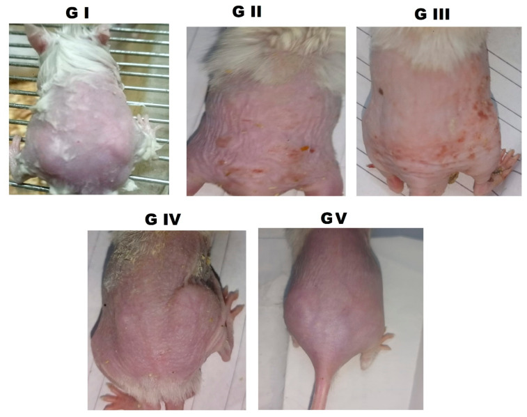 Figure 7