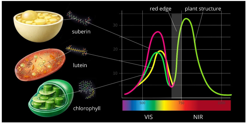 Figure 19
