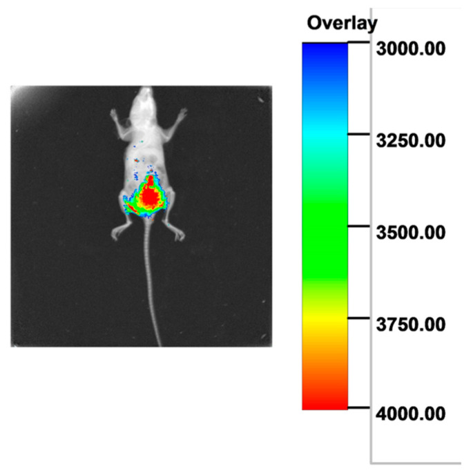 Figure 10