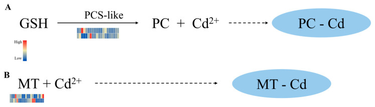 Figure 8