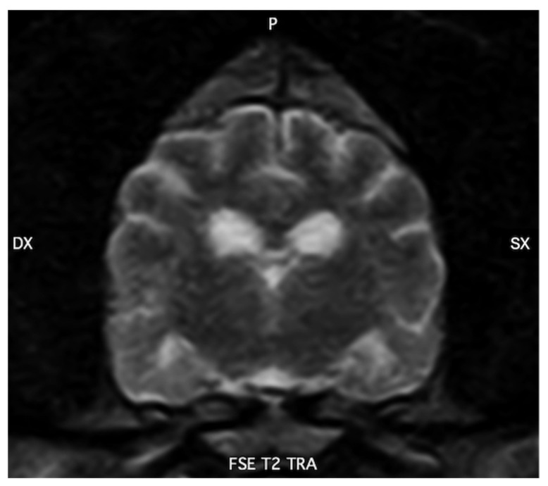 Figure 6