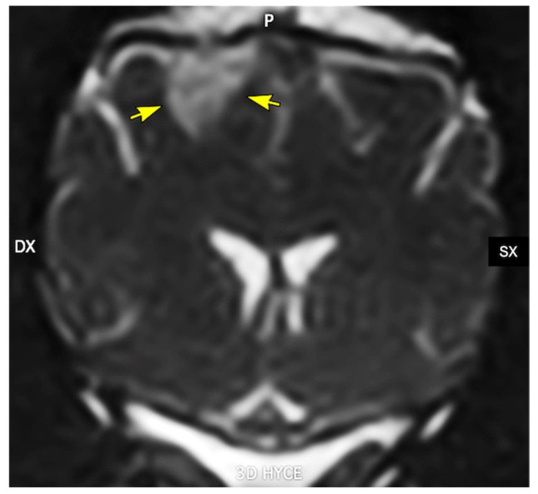 Figure 7