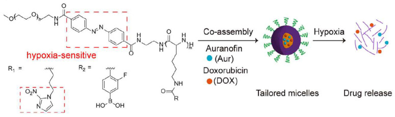 Figure 12
