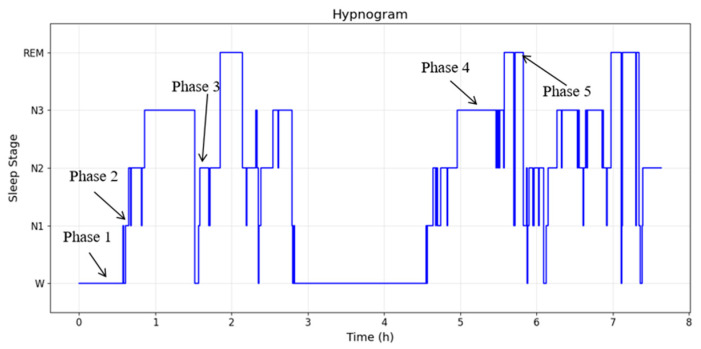 Figure 7