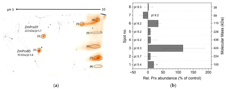Figure 9