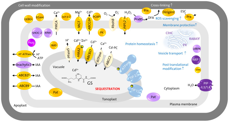 Figure 13