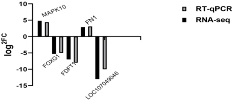Figure 12