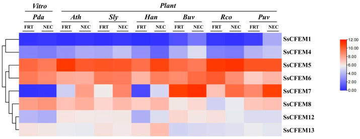 Figure 7
