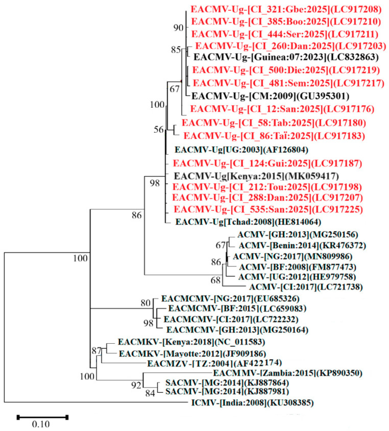 Figure 7