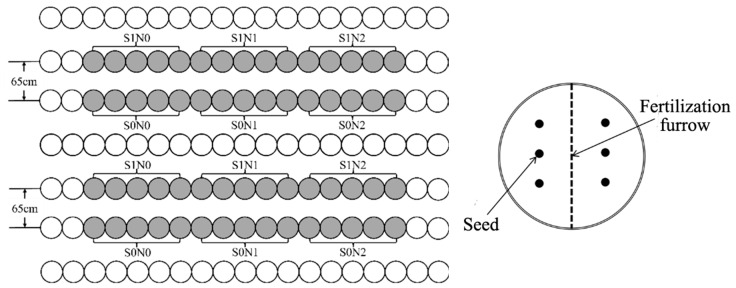 Figure 8