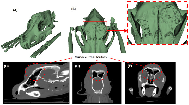 Figure 4