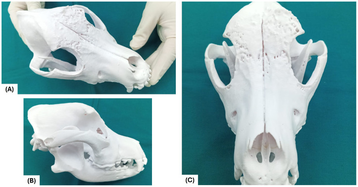 Figure 7
