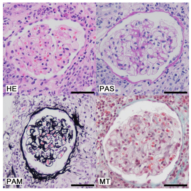 Figure 2