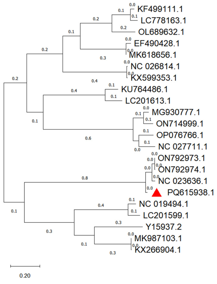 Figure 5