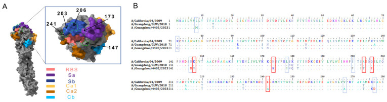 Figure 3