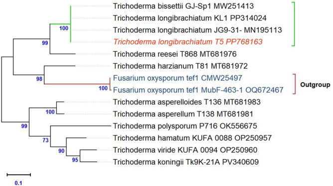 Figure 11