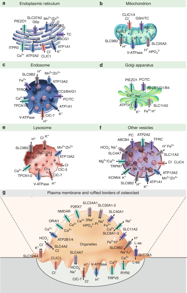 Figure 6