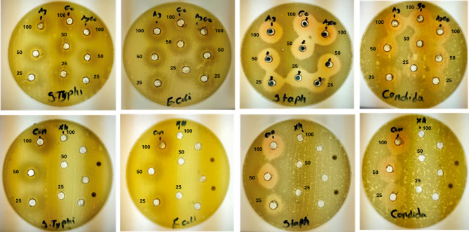 Figure 10