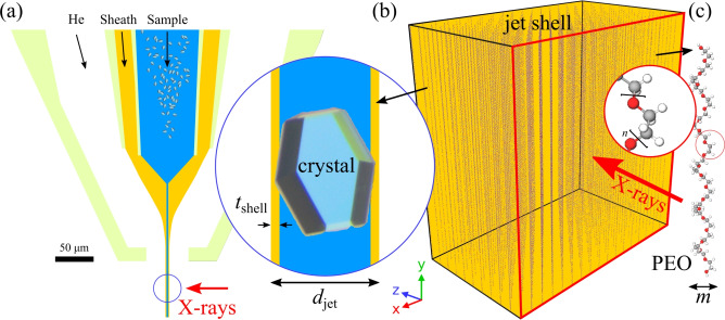 Figure 11