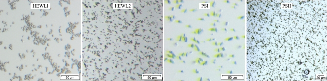 Figure 12