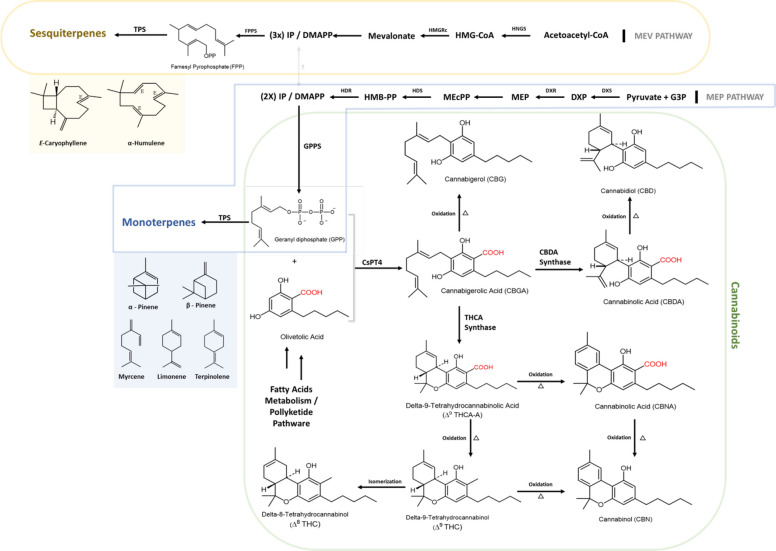 Figure 10