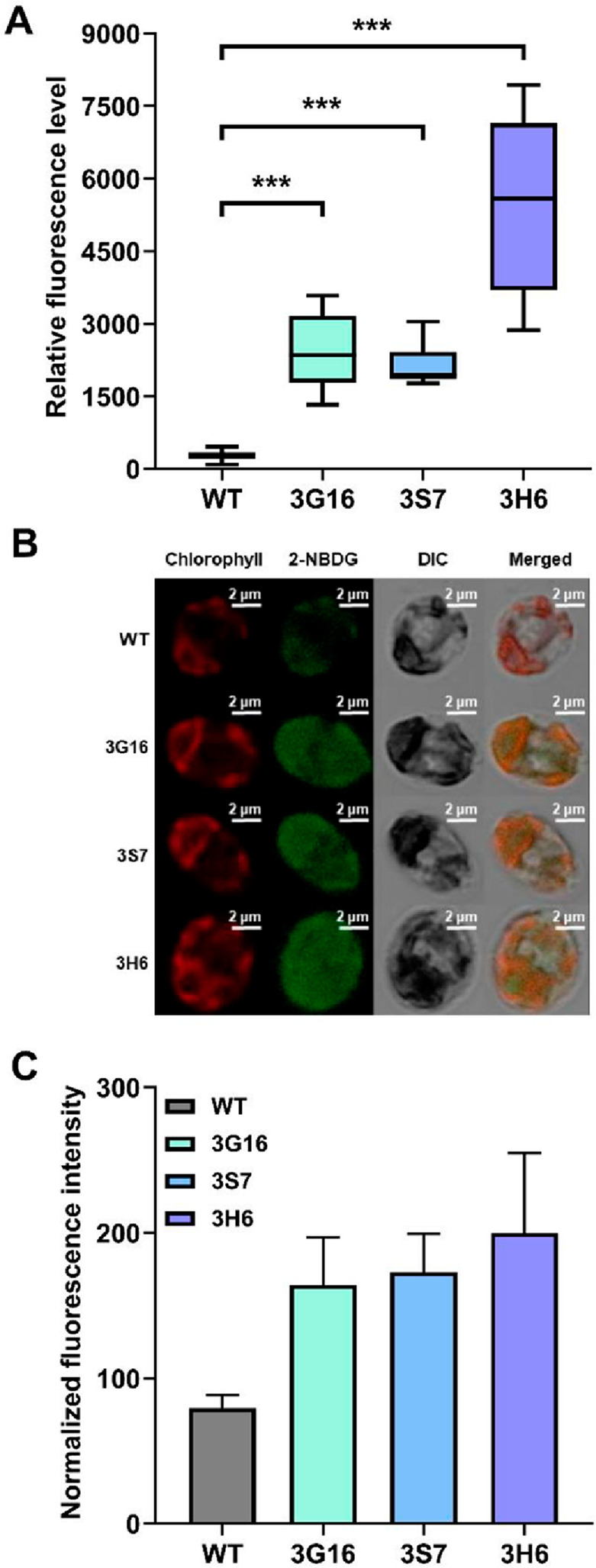 Figure 3