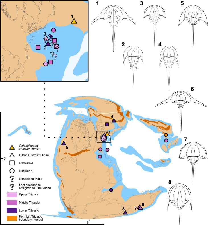 Figure 10