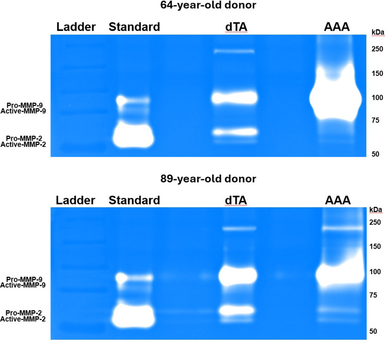 Figure 16