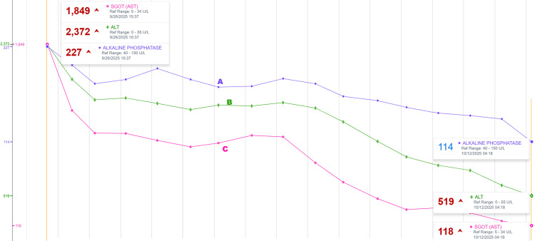 Figure 8