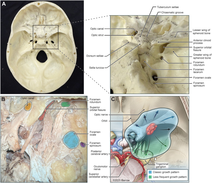Figure 6