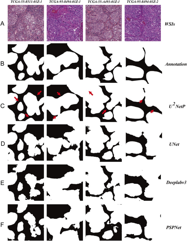 Figure 6