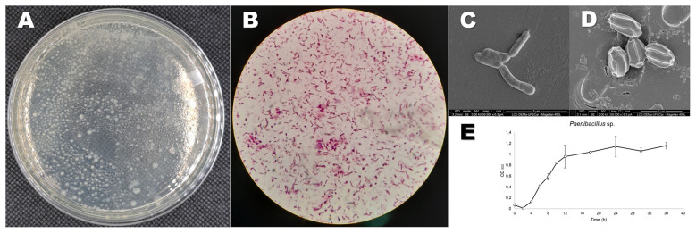 Figure 2