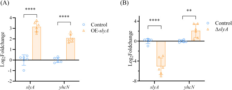 Figure 4