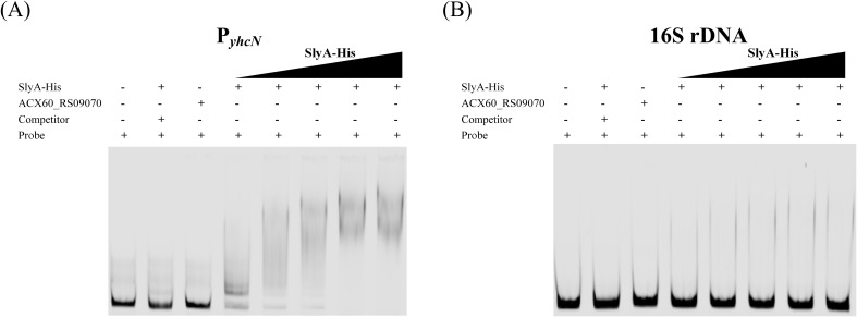 Figure 6